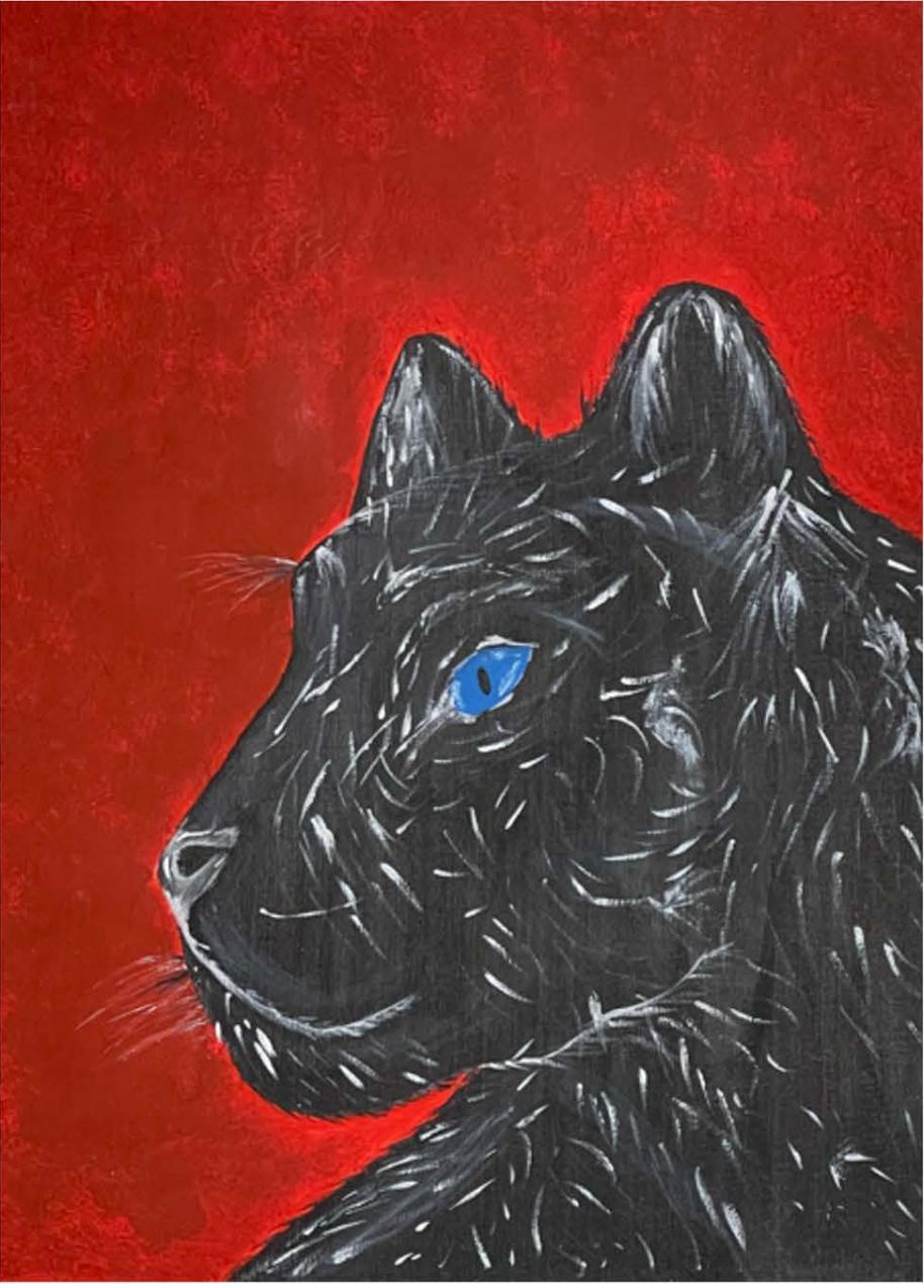 Lo Que Expreso En Una Pantera